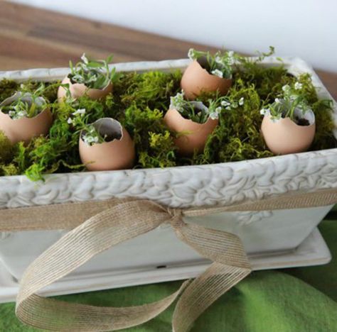 Our eggshell Easter centerpiece can go right from your table to the garden by planting the seedlings, eggs and all. - Everyday Dishes & DIY Egg Shell Planters, Easter Creative, Table Gifts, Easter Bunny Cookies, Diy Dish, Easter Decorating, Easter Eggs Chocolate, Easter Eggs Diy, Plastic Eggs