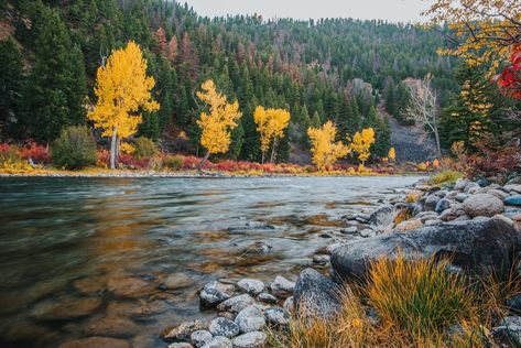 Salmon River Scenic Byway Salmon Idaho, Fall Drive, Explore Idaho, Visit Idaho, Sawtooth Mountains, Idaho Travel, Salmon River, Scenic Byway, Fall Hiking