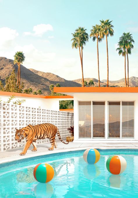 Pool Desert Tiger by Paul Fuentes | LUMAS Motel Ideas, Paul Fuentes, Miami Art Deco, Pool Art, Collage Kunst, Funny Decor, Photo D Art, Modern Wall Art Canvas, Miami Art