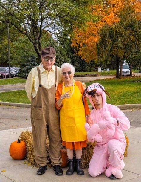 Ridiculous Outfits, Grandma Dress, Courage The Cowardly Dog, Cowardly Dog, Funny Costumes, Dog Halloween Costumes, Creative Halloween Costumes, Dog Costume, Dog Pin