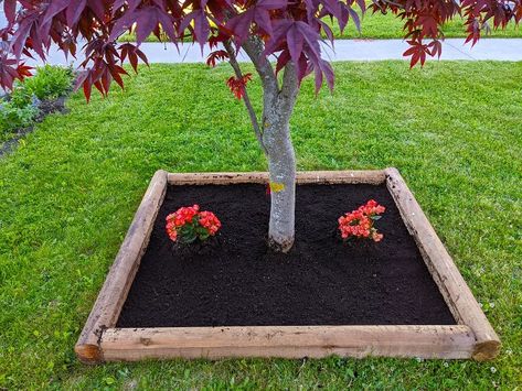 Check out this easy front yard landscaping decor idea to add more color to your home decor. Easy on budget diy tree base flower box. #diy #curbappeal #landscapingdecor Porch Flower Bed, Sweet William Flowers, Curb Appeal Landscaping, Landscaping Decor, Shallow Planters, 365 Jar, Curb Appeal Landscape, Deck Stain, Diy Curb Appeal