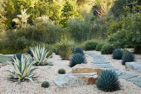 Drought Resistant Landscaping, California Backyard, Simple Soup, Drought Tolerant Garden, Stone Steps, Drought Tolerant Landscape, Mediterranean Plants, Evening Dress Long, Mediterranean Landscaping