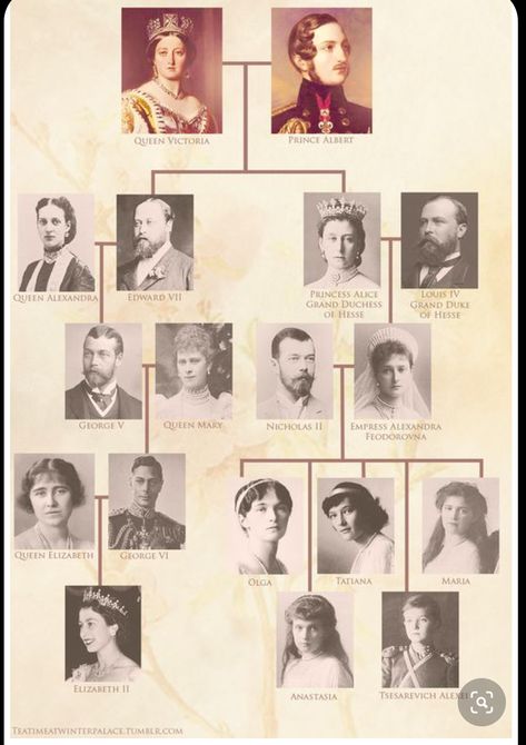 Windsor Family, Vévodkyně Kate, The Romanovs, Era Victoria, Queen Victoria Family, Queen Victoria Prince Albert, British House, Romanov Sisters, Victoria Prince