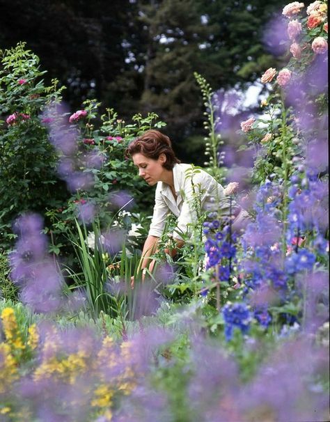 Roses and foxgloves frame Roehm as she works in the garden. Narrow Gardens, Carolyn Roehm, Garden Basics, Carolyne Roehm, Flower Picking, Gorgeous Gardens, Best Garden, Delphinium, Country Gardening