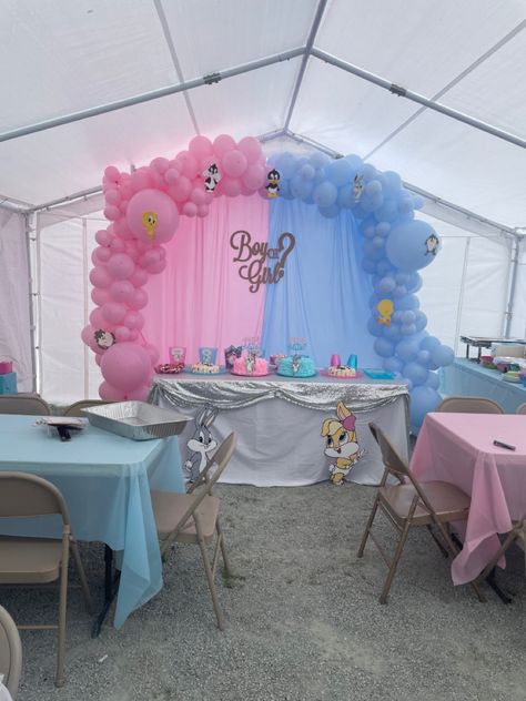 Bugs Bunny And Lola Gender Reveal Ideas, Bugs Bunny And Lola Gender Reveal, Looney Tunes Gender Reveal Ideas, Bugs Or Lola Gender Reveal, Bugs Bunny Gender Reveal, Lola And Bugs Bunny Gender Reveal, Lola Or Bugs Gender Reveal, Bunny Gender Reveal, Bunny Gender