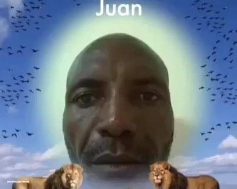 Juan Juan Meme, Iphone Stickers, Don Juan, Weird Pictures, Funny Reaction Pictures, Artistry Makeup, Reaction Pictures, Album Covers, Humor