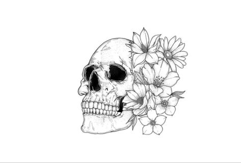 Skull Fine Line Tattoo, Skull Sketch, Fineline Tattoo, Fine Line Tattoo, Line Tattoo, Fine Line Tattoos, Line Tattoos, Fine Line, Skull Tattoo