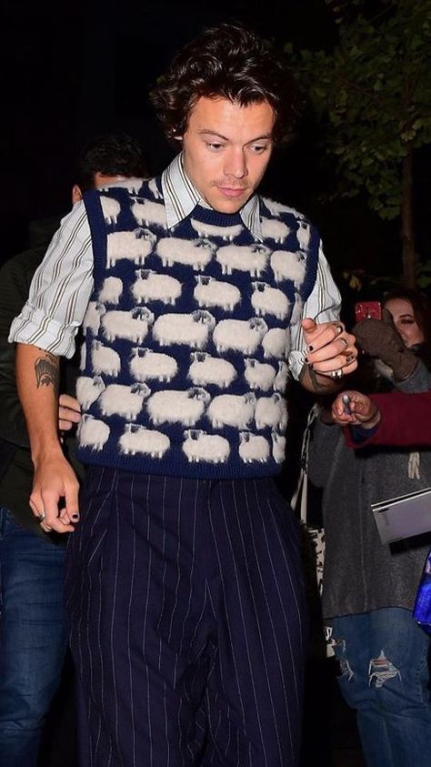 Harry Styles in a sheep vest Harry Styles Sweater Vest, Harry Styles Sweater, Nyc November, Harry Outfits, Harry Styles Outfit, Street Style Aesthetic, Harry Styles Pictures, Mr Style, Harry Edward Styles