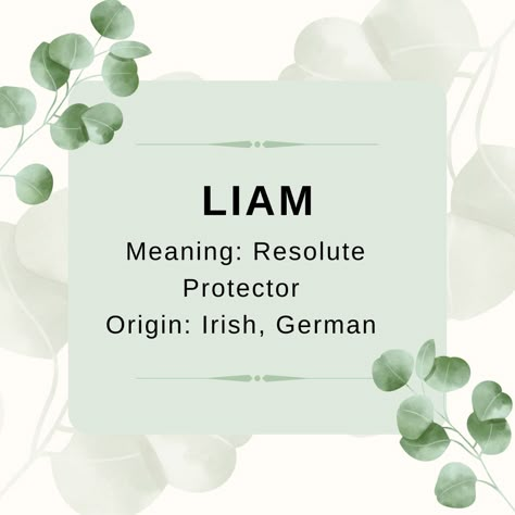 Names Meaning Healer, Duke Name Meaning, Name Meaning Protector, Liam Meaning, Irish Names Boy, Celtic Male Names And Meanings, Liam Meaning Name, Liam Name, Cute Messages For Him