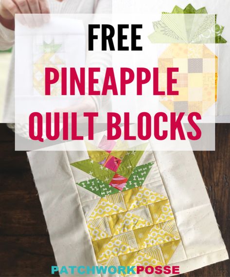 Pineapple Block, Pineapple Block Quilts Ideas, Paper Pieced Pineapple Quilt Block, Quilt Block Patterns Easy, Pineapple Quilt Pattern, Pineapple Quilt Block, Irish Chain Quilt Pattern, Tree Quilt Block, Halloween Applique