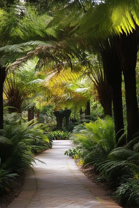 "🌿🌺 Discover the beauty of the Royal Botanic Gardens in Melbourne! Explore diverse plant collections, serene lakes, and picturesque landscapes in this urban retreat. 🌳🦋 #RoyalBotanicGardens #Melbourne #BotanicalBeauty" Urban Retreat, Royal Botanic Gardens, Botanic Gardens, Botanical Beauty, Plant Collection, Green Space, Melbourne Australia, Botanical Gardens, The Beauty