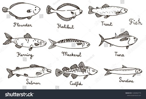 Hannah Tattoo, Grandparents Tattoo, Fabric Embellishment, Cod Fish, Mehndi Tattoo, Hand Drawn Vector Illustrations, Types Of Fish, Hand Drawn Illustration, Hand Drawn Vector