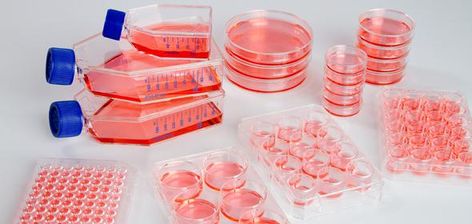 Top Technical Skills in Biotech & Biomedical Research Next Generation Sequencing, Cell Culture, Culture Media, Cell Line, Nucleic Acid, Gene Therapy, Resource Library, Biotechnology, Stem Cells