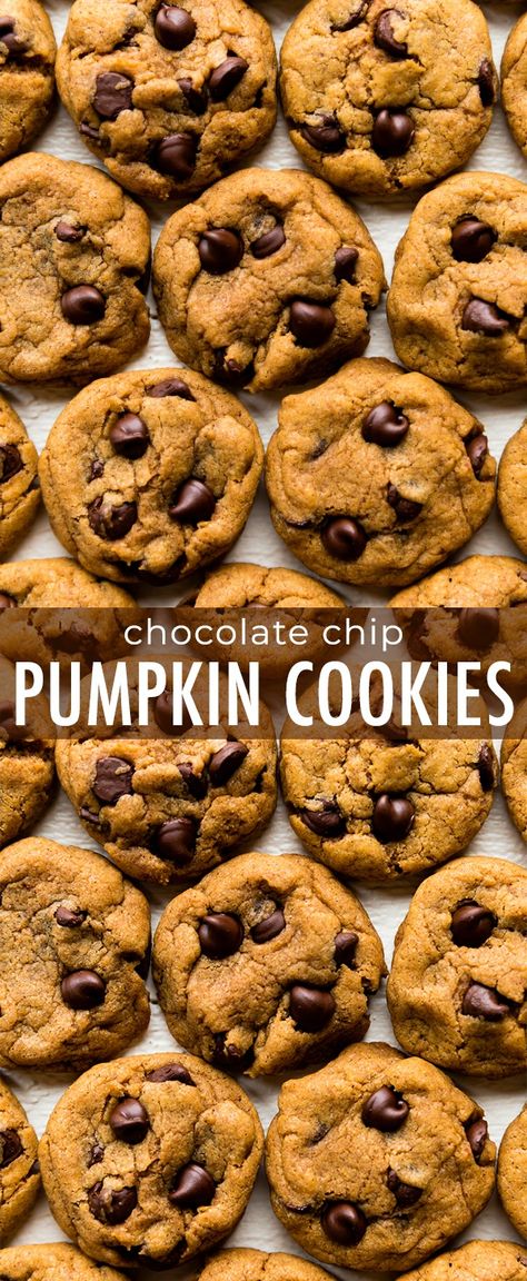 These CHEWY pumpkin chocolate chip cookies are a must try this fall! Recipe on sallysbakingaddiction.com Best Pumpkin Chocolate Chip Cookies, Chocolate Chip Pumpkin Cookies, Chocolatechip Cookies, Sally's Baking, Pumpkin Chocolate Chip Cookies, Pumpkin Chocolate Chip, Fall Recipe, Pumpkin Chocolate Chips, Best Pumpkin