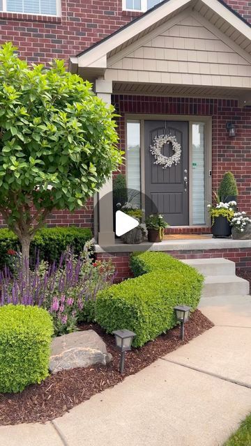 Oh La La Decor | Amy Gordon on Instagram: "This planter combination is a no fail recipe for lush florals in your porch planter. The geraniums are such an easy flower to care for even in full sun. Just make sure to deadhead the old florals. Also the Creeping Jenny spill might need to be trimmed back by mid summer. 

Porch Planters 🔗 https://liketk.it/49lLp

Follow @ohlala_decor for more inspo

#patiodecor #patioseason #porchdecor #porchplanters #gardeninglife #gardening #tutorial #homedecor #tutorial #homeinspiration @shopltk @ltkhome" Plants For Planters, Porch Planter, Porch Planters, Creeping Jenny, Lake Decor, Summer Porch, Mid Summer, House Color Schemes, Beautiful Outdoor Spaces