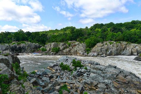 5 great hikes to take this summer in Northern Virginia Reconnect With Nature, Potomac River, Shenandoah National Park, Camping Area, Fall Hiking, Great Falls, Winter Hiking, Nature Preserve, Appalachian Trail