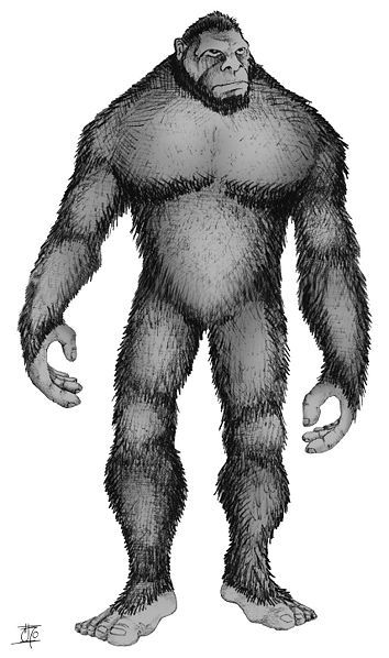 List Of Cryptids, Real Bigfoot, Pie Grande, Bigfoot Art, Bigfoot Sightings, Unexplained Mysteries, Bigfoot Sasquatch, Planet Of The Apes, Ljubljana