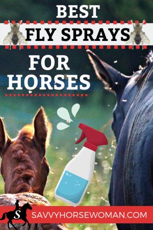 Skin So Soft Fly Spray For Horses, Homemade Fly Spray, Fly Spray For Horses, Horse Hacks, Farm Tips, Horse Ownership, Barn Hacks, Horse Products, Fly Control