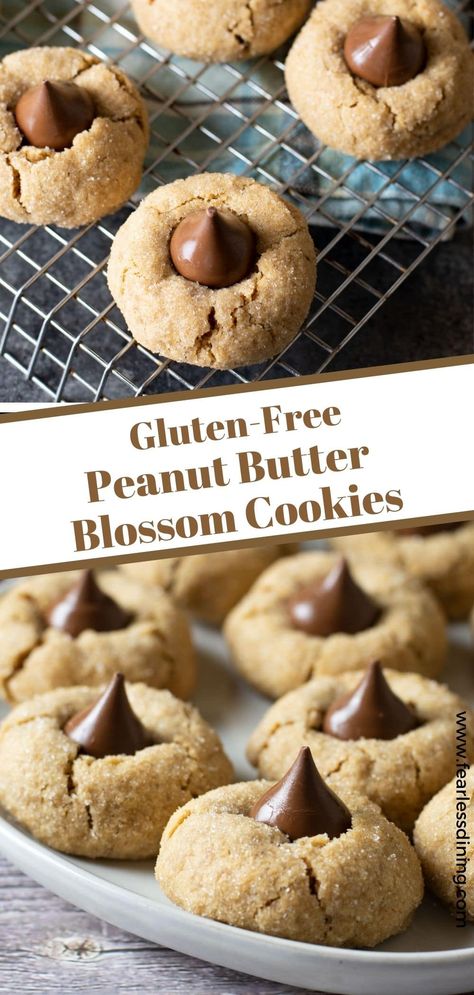 Soft, sweet homemade gluten free peanut butter blossoms cookies are the perfect cookie to make all year round. These cookies melt in your mouth with every bite! If you are looking for the perfect combination of peanut butter and chocolate, you need to try this delicious cookie recipe. Peanut Butter Blossoms Gluten Free, Gluten Free Peanut Blossoms, Gluten Free Peanut Butter Blossoms, Gluten Free Peanut Butter Cookies Recipe, Gfdf Recipes, Blossoms Cookies, Gf Ideas, Peanut Butter Blossoms Recipe, I Lost 100 Pounds