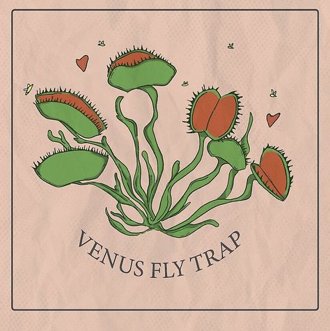 Venus Fly Trap Art, Trap Illustration, Record Decor, Trap Art, Fly Trap, Tattoo Portfolio, Venus Fly Trap, Cute Coloring Pages, Web Design Inspiration