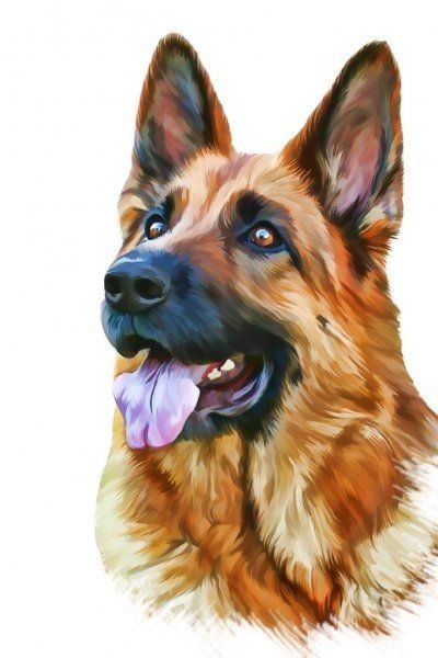 German Shepherd Painting, German Sheperd Dogs, German Shepherd Art, Dog Portraits Painting, Dog Portraits Art, Animal Portraits Art, 강아지 그림, Watercolor Pet Portraits, Dog Wallpaper