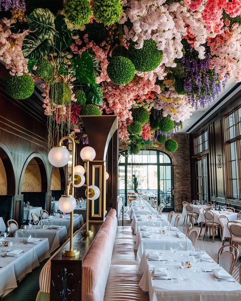 You may wondering about the incredible floral install on the ceiling at @annabellebrasserie. The floral install is hung on by a theatrical truss system and is actually interchangeable per season. The botanical installation was installed to bring in nature to the space seasonally. Biophilia, a sensory concept introduced by biologist E.O. Wilson, refers to the innate connection and affinity humans have with the natural world. It suggests that as a species, humans possess an inherent tendenc... Botanical Installation, The Natural World, The Ceiling, Natural World, In Nature, Ceiling, The Incredibles, Floral, Quick Saves