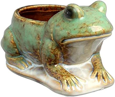 Amazon.com: frog ceramic bowl Frog Pot, Planter Clay, Clay Statue, Frog Planter, Paint Pottery, Ceramic Frogs, High Gloss Paint, Hill Park, Garden Pottery