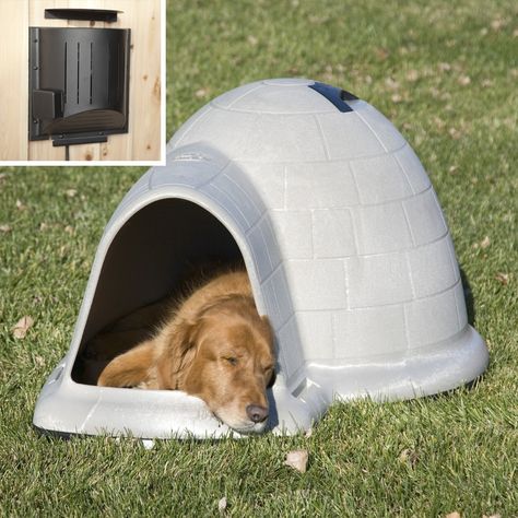 Petmate Indigo Dog House with Heater Tan Igloo Dog House, Dog Igloo, Lowes Paint Colors, Igloo House, Lowes Paint, Small Dog House, Dog Pens, House Heating, Outdoor Dog