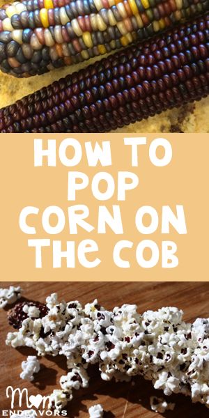 A fun post on how to pop corn on the cob! Rainbow Corn, Cucumber Snacks, Harvest Corn, How To Make Popcorn, Microwave Popcorn, Pop Popcorn, Indian Corn, Easy Chicken Pot Pie, Snack Treat