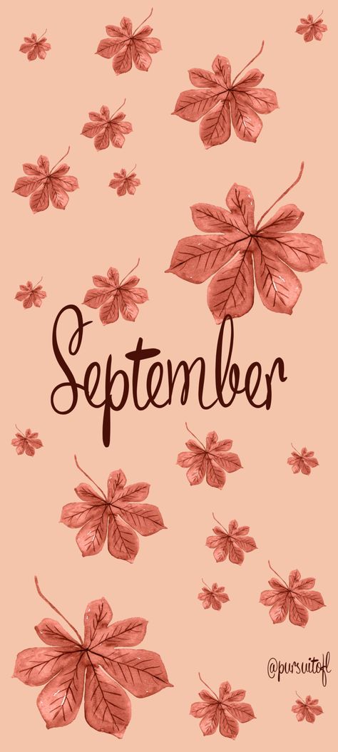 Hello Fall Phone Wallpaper, Iphine11 Wallpaper Fall, September Fall Wallpaper Aesthetic, September Themed Wallpaper, Autumn Wallpaper September, September Asthetic Wallpers Iphone, September Asethic Wallpaper, September Aesthetic Wallpaper Iphone, September Phone Background