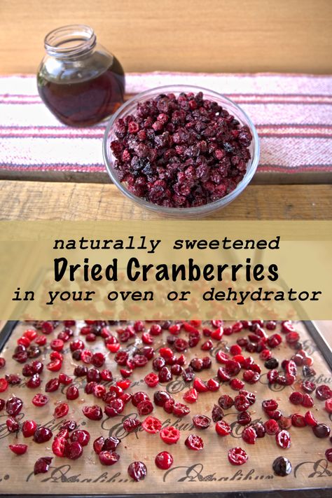 Dehydrate Cranberries, Dehydrate In Oven, Dried Cranberries Recipes, Fresh Cranberry Recipes, Cranberry Recipe, Dried Cranberry, Simple Syrup Cocktails, Autoimmune Paleo Recipes, Sugared Cranberries