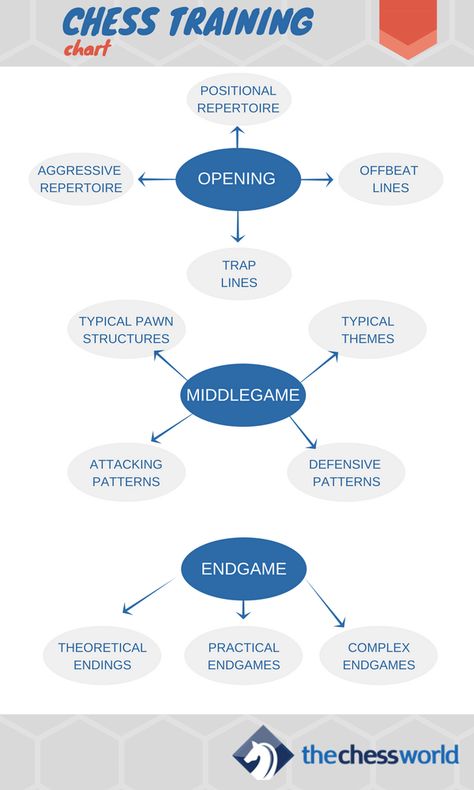 The Ultimate Chess Training Guide [Worksheets Enclosed] at TheChessWorld.com Chess Worksheets, Chess Learning, Chess Guide, Learning Chess, Chess Basics, Chess Rules, Different Types Of Lines, Improve Brain Power, Chess Tactics