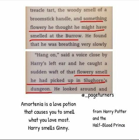 Hp Jokes, Ginny Potter, Melt My Heart, Harry And Ginny, Harry Potter 2, Ginny Weasley, Harry Potter Jokes, Harry Potter Love, Harry Potter Obsession