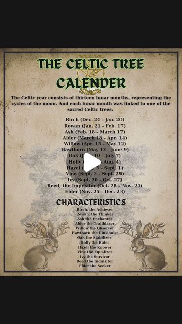 MysticMoonWitch on Instagram: "The Celtic Tree Calendar is a fascinating system that connects each month to a specific tree, reflecting nature's cycles. 🌳 Each tree symbolizes unique traits and energies, guiding us through the year. Discover your tree and embrace its wisdom! 🌟 Share this with a friend or tag someone who loves nature! 🌿✨

#celtic #tree #calendar #witch #Paganartisan" Celtic Tree Calendar, Celtic Tree, Moon Cycles, Tag Someone Who, Tag Someone, The Year, Witch, Instagram, Nature