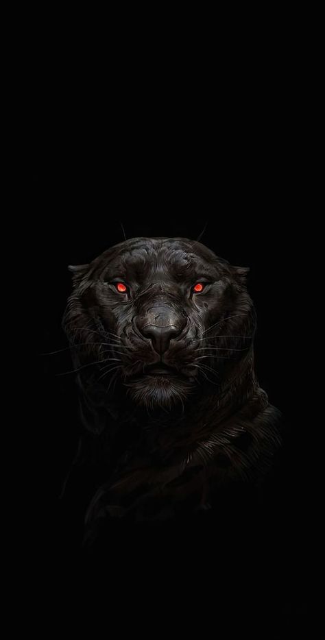 Black Panther Iphone Wallpaper, Black Tiger Wallpaper, Tigre Wallpaper, Black Skulls Wallpaper, Panther Cat, Lion Photography, Eagle Wallpaper, Arte Peculiar, Lion Wallpaper