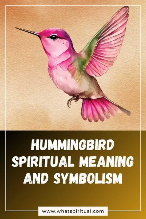 Hummingbird Spiritual Meaning and Symbolism (+Totem & Spirit) | What Spiritual What Do Hummingbirds Symbolize, Hummingbird Meaning Spiritual, Hummingbird Spiritual Meaning, Hummingbird Totem, Hummingbird Meaning, Hummingbird Designs, Hummingbird Symbolism, Orange And Black Butterfly, Negative Traits