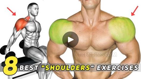 120K views · 2.4K reactions | 8 Best Wide Shoulders Exercises - Shoulders Workout | 8 Best Wide Shoulders Exercises - Shoulders Workout | By Trending Gym | Eight effective shoulder exercises, Seated dumbbell lateral raise. This is an excellent exercise for building the medium deltoid muscles. The main working muscles are the deltoids. The auxiliary muscles affected are the forearm and trapezius muscle. Rear delt raises, the bent over lateral dumbbell raise focuses the load onto the posterior deltoid muscles. This group of muscles is very difficult to develop because there are very few exercises that intentionally load the posterior surface of the deltoid muscles. Upright row. The upright row primarily targets your traps and side delts. So any exercise for these areas will work as an altern Dumbbell Lateral Raise, Trapezius Muscle, Deltoid Workout, Upright Row, Shoulders Workout, Shoulder Exercises, Rear Delt, Wide Shoulders, Lateral Raises