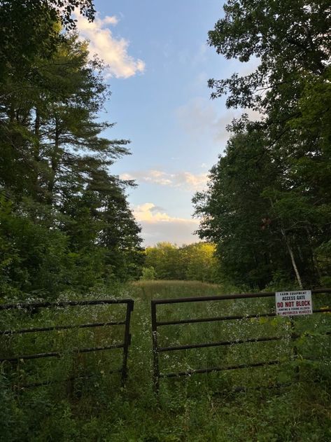 Pine Woods Aesthetic, Rural New England, Rural House Aesthetic, Rural Midwest Aesthetic, Rural England Aesthetic, Rural New York, Rural America Aesthetic, New Hampshire Aesthetic, New England Gothic