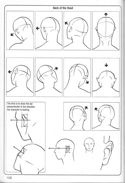 How To Draw Back Of Head, Head Back Drawing Reference, Head From The Back Drawing, Head Lifted Up Drawing, Back Of Head Reference Drawing, Manwha Head Reference, Man Tilting Head Back, How To Draw A Head From The Back, Back Of A Head Drawing