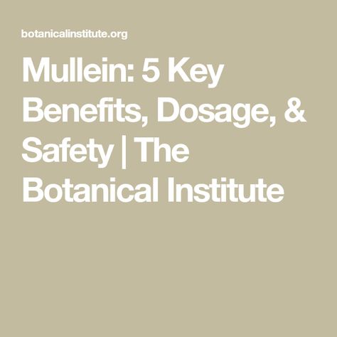 Mullein: 5 Key Benefits, Dosage, & Safety | The Botanical Institute Herbs For Allergies, Earache Remedies, Mullein Leaf, Medicinal Garden, Adaptogenic Herbs, Respiratory Health, Kidney Health, Chronic Inflammation, Urinary Tract