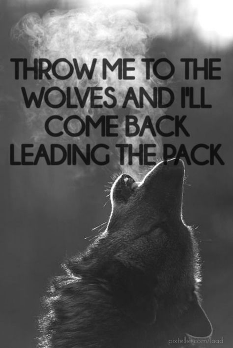 Make your own photo about THROW ME TO THE WOLVES AND I'LL COME BACK LEADING PACK on PixTeller Wolf Pack Quotes, Lone Wolf Quotes, Wild Women Sisterhood, Wolf Quotes, Wolf Spirit Animal, She Wolf, Mental Training, Warrior Quotes, Lone Wolf