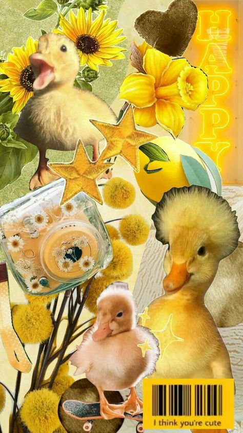 Daffy Duck Wallpaper Iphone, Yellow Duck Aesthetic, Aesthetic Collage Yellow, Duck Aesthetic, Duck Pictures, Duck Wallpaper, Duck Photo, Frog Wallpaper, Pet Ducks