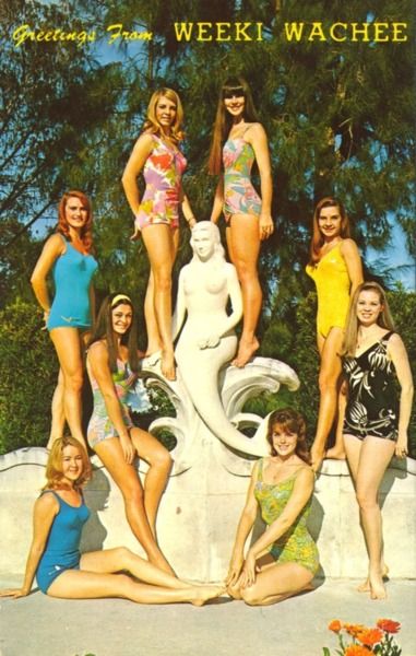 hollyhocksandtulips: The Weeki Wachee Mermaids, Florida, 1960s Weeki Wachee Mermaids, Seminole Indians, Weeki Wachee, Mermaid Statues, Visit Florida, Mermaid Life, Vintage Swimwear, Roadside Attractions, Old Florida