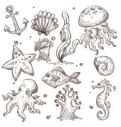 Underwater Animals Drawing, Water Animals Drawing, Animals Underwater, Underwater Drawing, Aquatic Animal, Ocean Drawing, Underwater Plants, Animals Drawing, Underwater Animals