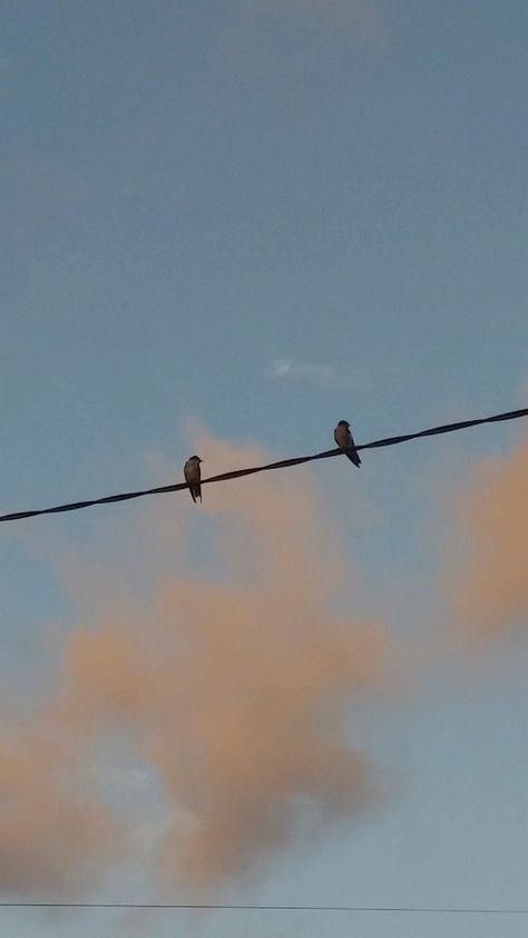 Birds Sitting On A Wire, Ra Logo, Islamic Aesthetic, Cinderella Aesthetic, Foggy Weather, Home Lock Screen, Cover Music, Alone Photography, Korean Drama Songs