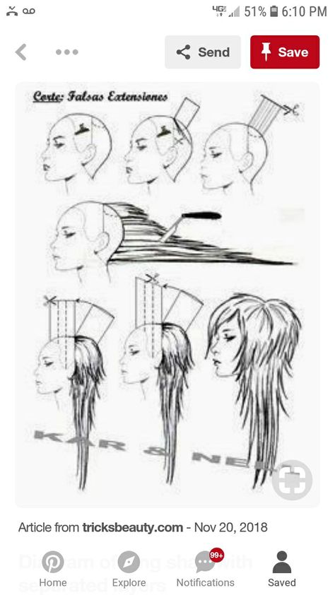 Emos Haj, Hair Illustration, Haircut Straight, Bangs Curly, Long Wolfcut Haircut, Wolfcut Haircut, Long Wolfcut, Long Layered Haircuts, Wolf Cut