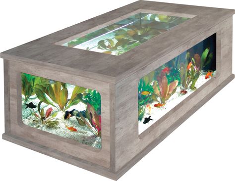 Table basse aquarium  http://www.jardindeco.com/Table-Basse-Aquarium-Imitation-Beton-Cire-100x63x51-5cm-F-82,10606?nosto=productcategory-nosto-1 Lego Displays, Aquarium Table, Fish Tank Coffee Table, Aquarium Coffee Table, Custom Aquarium, Metal Garden Gates, Amazing Aquariums, Fish Tank Design, Tropical Fish Tanks