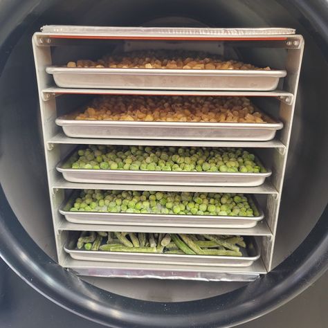 So You Got A Freeze-Dryer: Freeze-Drying Guides For Produce I Trail Cooking Freeze Dried Food Ideas, Harvest Right Freeze Dryer Recipes, Freeze Drying Food Recipes, Freeze Dried Food Storage, Harvest Right Freeze Dryer, Trail Food, Freeze Dryer, Early Adopters, Dried Food