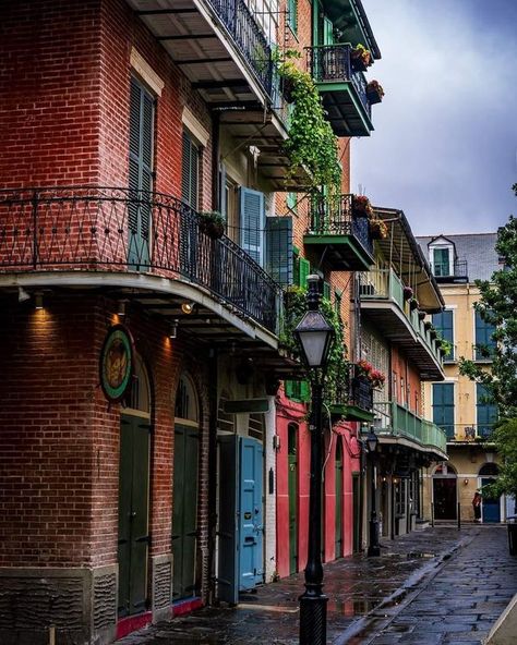 Louisiana History | Pirates Alley in the French Quarter ⚜ | Facebook French Quarter Art, Louisiana History, Public Space Design, New Orleans French Quarter, Local Color, African American Culture, The French Quarter, New Orleans Louisiana, French Quarter