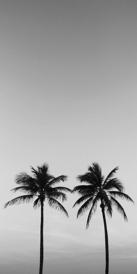 Moody Beach Aesthetic, Black And White Wallpapers, Photo Surf, Beach With Palm Trees, Number Wallpaper, Black And White Beach, Cream Wallpaper, Black And White Landscape, Iphone Black